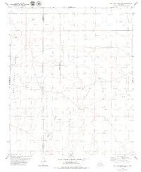 San Juan Mesa East 1979 topographic map thumbnail