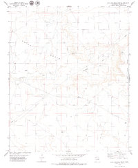 San Juan Mesa West 1979 topographic map thumbnail
