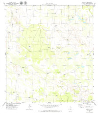 Sarita SW 1979 topographic map thumbnail