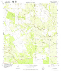 Skidmore NE 1979 topographic map thumbnail
