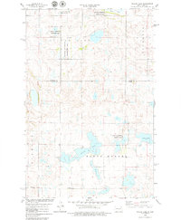 Willow Lake 1978 topographic map thumbnail