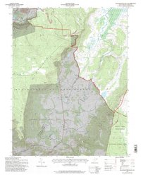 Blackwater Falls 1995 topographic map thumbnail