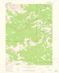 Allens Park 1957 topographic map thumbnail