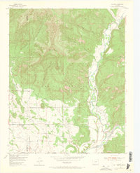 Allison 1954 topographic map preview
