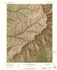 Anvil Points 1952 topographic map thumbnail
