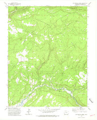 Big Bucktail Creek 1973 topographic map thumbnail
