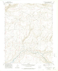Big Bucktail Creek 1973 topographic map thumbnail