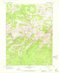 Big Narrows 1962 topographic map thumbnail