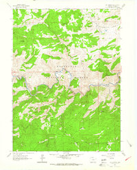 Big Narrows 1962 topographic map thumbnail