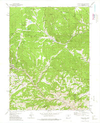 Black Hawk 1972 topographic map thumbnail