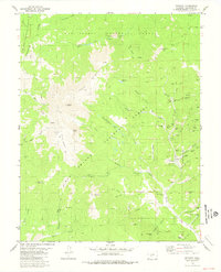 Bonanza 1980 topographic map thumbnail