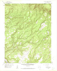 Atkinson Creek 1960 topographic map thumbnail