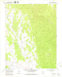 Badito Cone 1969 topographic map thumbnail