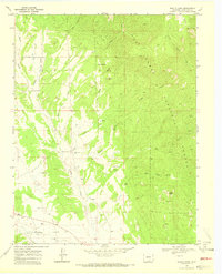 Badito Cone 1969 topographic map thumbnail