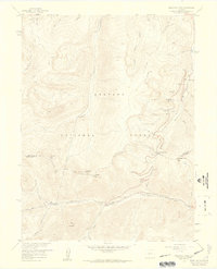Berthoud Pass 1957 topographic map thumbnail