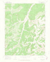 Brushy Point 1964 topographic map thumbnail