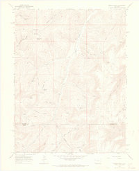 Brushy Point 1964 topographic map thumbnail