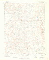 Buckhorn Lakes 1963 topographic map thumbnail