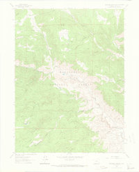 Buckhorn Mountain 1962 topographic map thumbnail