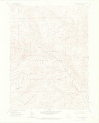 Buckhorn Mountain 1962 topographic map thumbnail