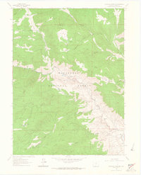 Buckhorn Mountain 1962 topographic map thumbnail