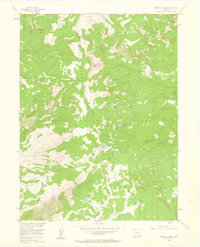Buffalo Pass 1955 topographic map thumbnail
