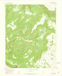 Bull Canyon 1960 topographic map thumbnail