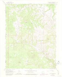 Bull Mountain 1963 topographic map thumbnail