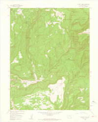 Calamity Mesa 1960 topographic map thumbnail