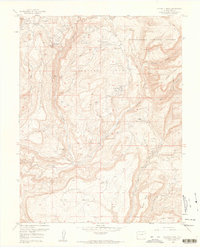Calamity Mesa 1960 topographic map thumbnail