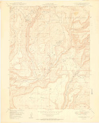 Calamity Mesa 1950 topographic map thumbnail
