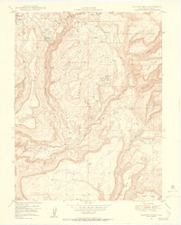 Calamity Mesa 1949 topographic map thumbnail