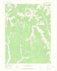 Calf Canyon 1964 topographic map thumbnail