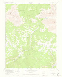 Dolores Peak 1953 topographic map thumbnail