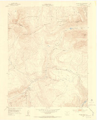 Dolores Peak 1953 topographic map thumbnail