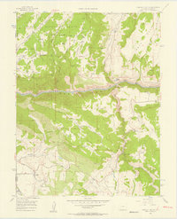 Curecanti Needle 1956 topographic map thumbnail