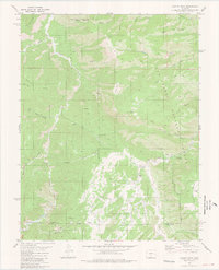 Curley Peak 1980 topographic map thumbnail