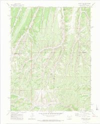 Cutoff Gulch 1971 topographic map thumbnail
