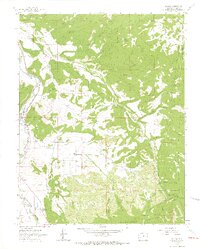 Dallas 1963 topographic map thumbnail