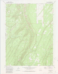 Davis Peak 1973 topographic map thumbnail