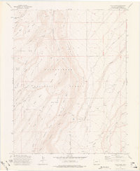 Davis Point 1973 topographic map thumbnail