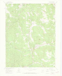Conifer 1965 topographic map preview