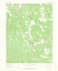 Conifer 1965 topographic map preview