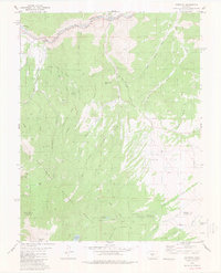 Cotopaxi 1980 topographic map thumbnail