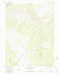 Cottonwood Pass 1961 topographic map thumbnail