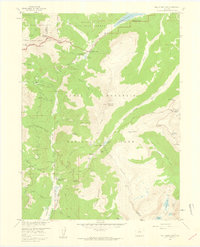 Fall River Pass 1958 topographic map thumbnail