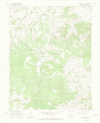 Laughlin Gulch 1967 topographic map thumbnail