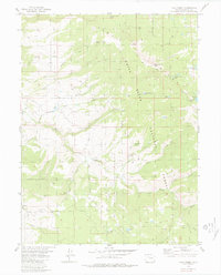 Lava Creek 1980 topographic map thumbnail