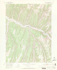 Jessup Gulch 1952 topographic map thumbnail