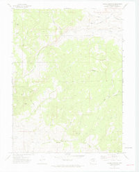 Quaker Mountain 1971 topographic map thumbnail